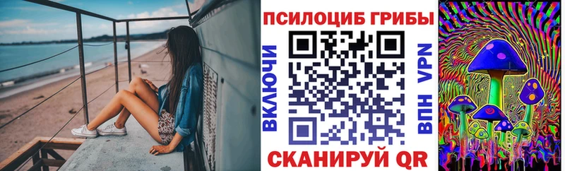 Галлюциногенные грибы Psilocybine cubensis  Купить где  Березники 